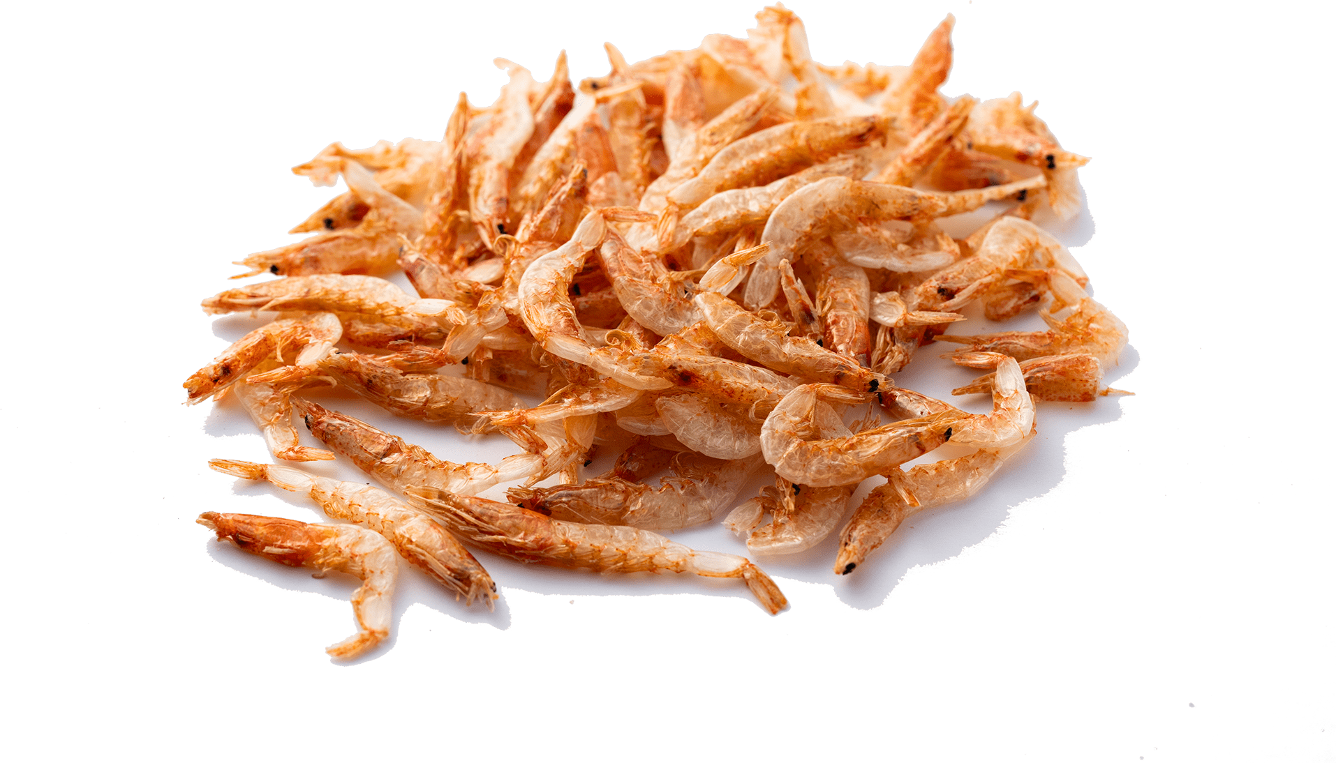 Shrimp