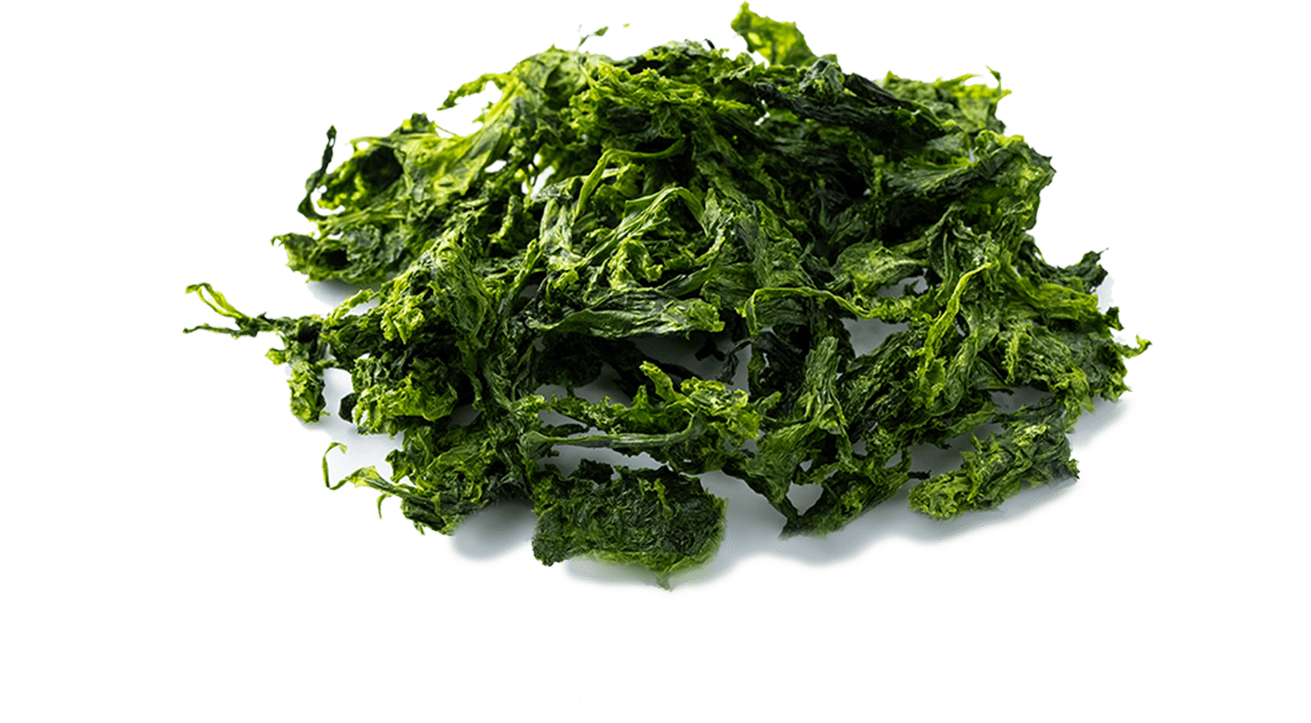 Aobara (Hitoegusa Seaweed)