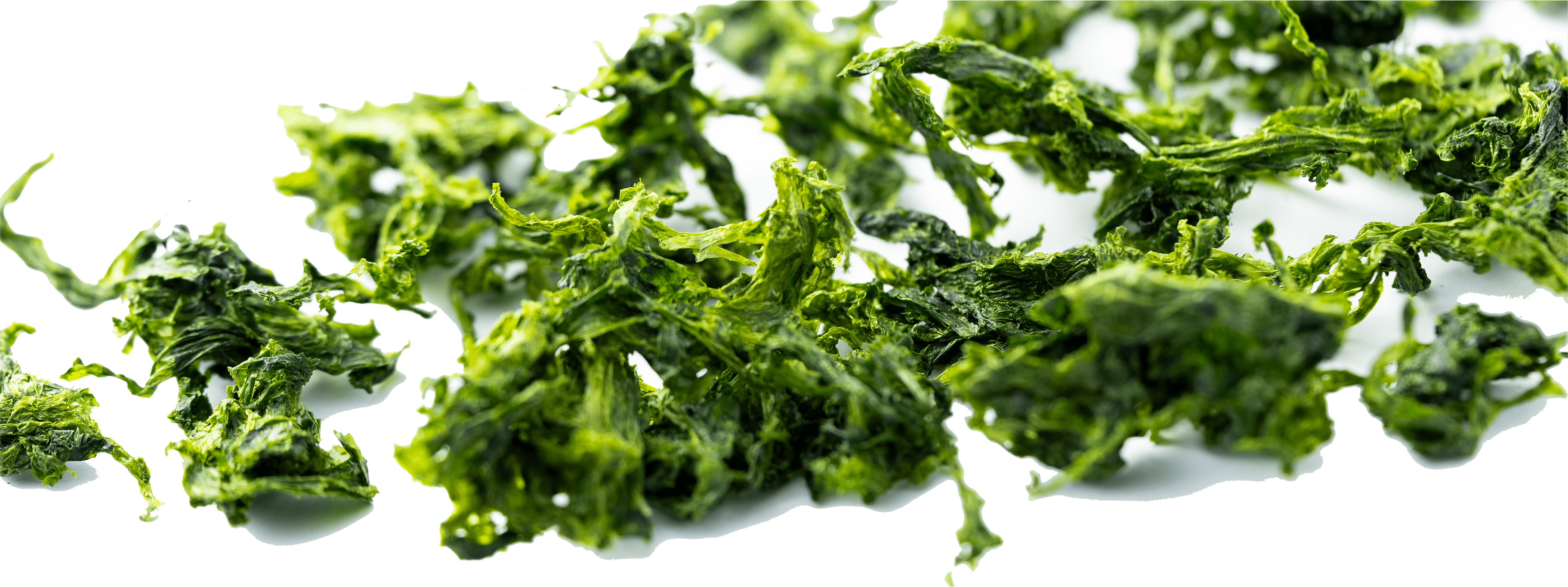 青ばら