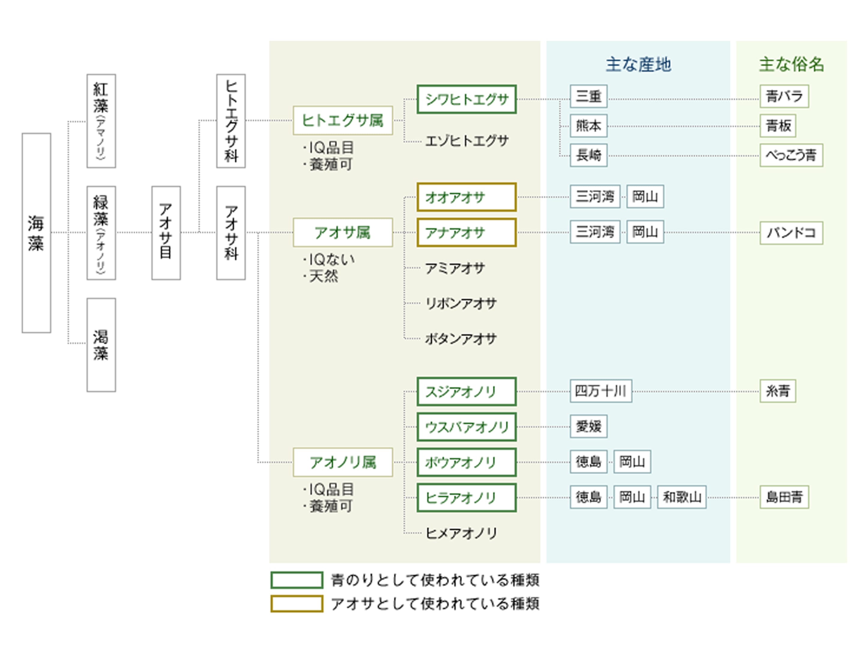 豆知識