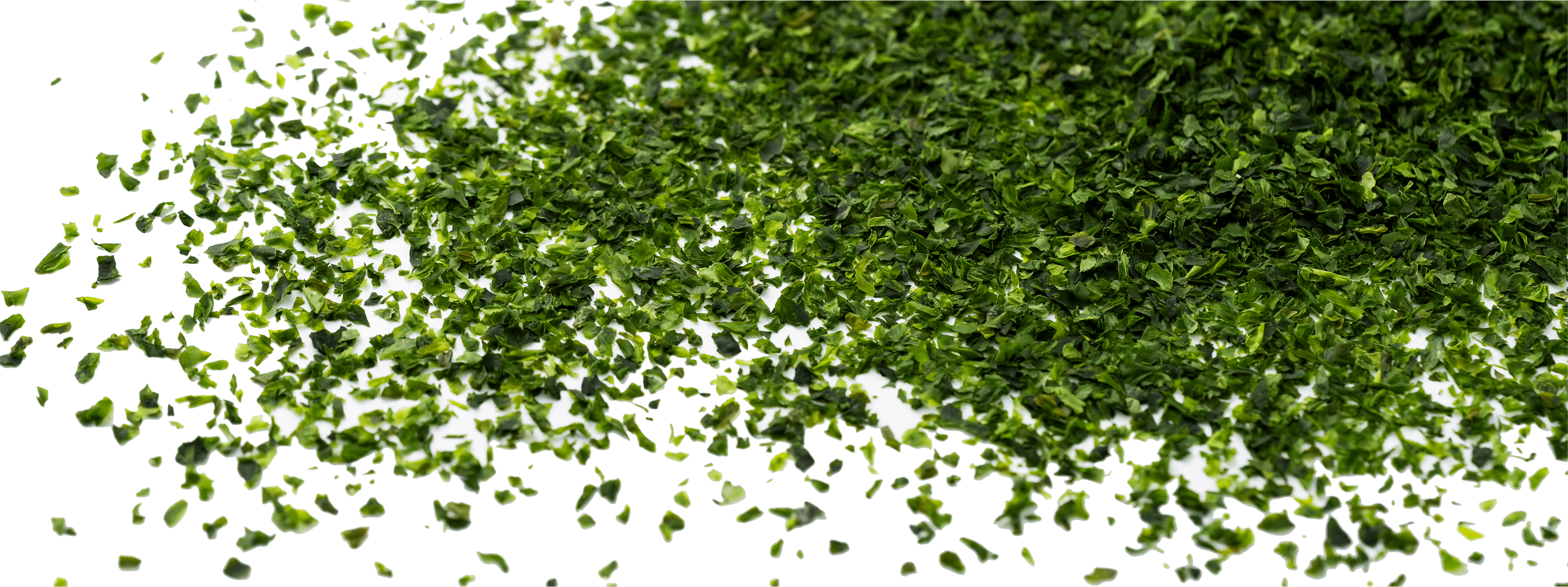 青ばら