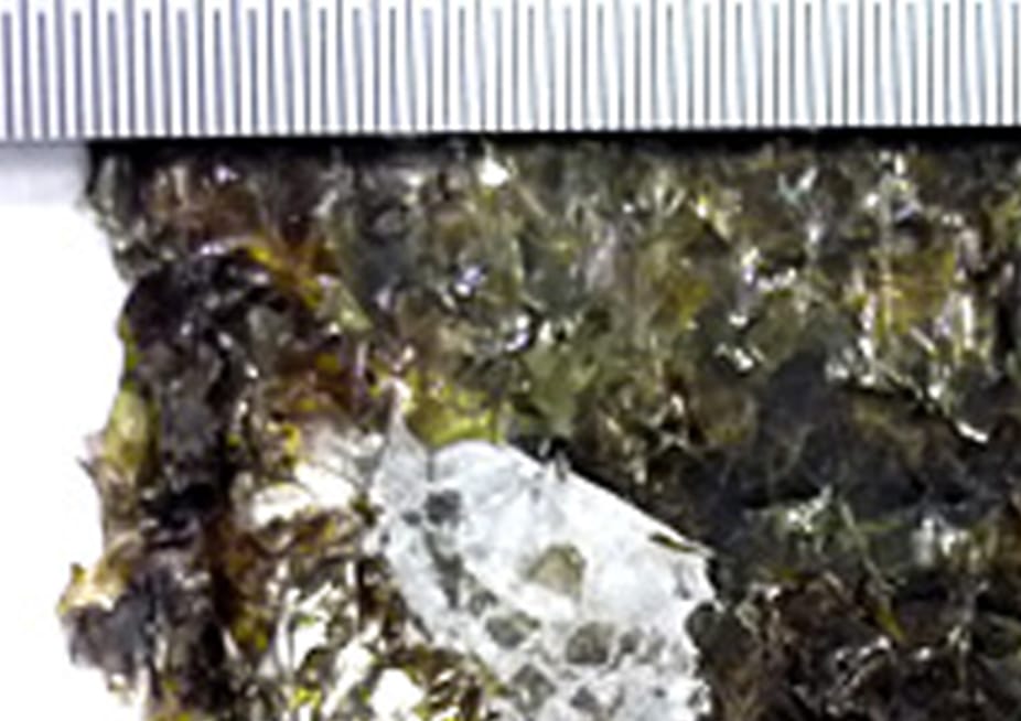 海苔に付着している白い異物